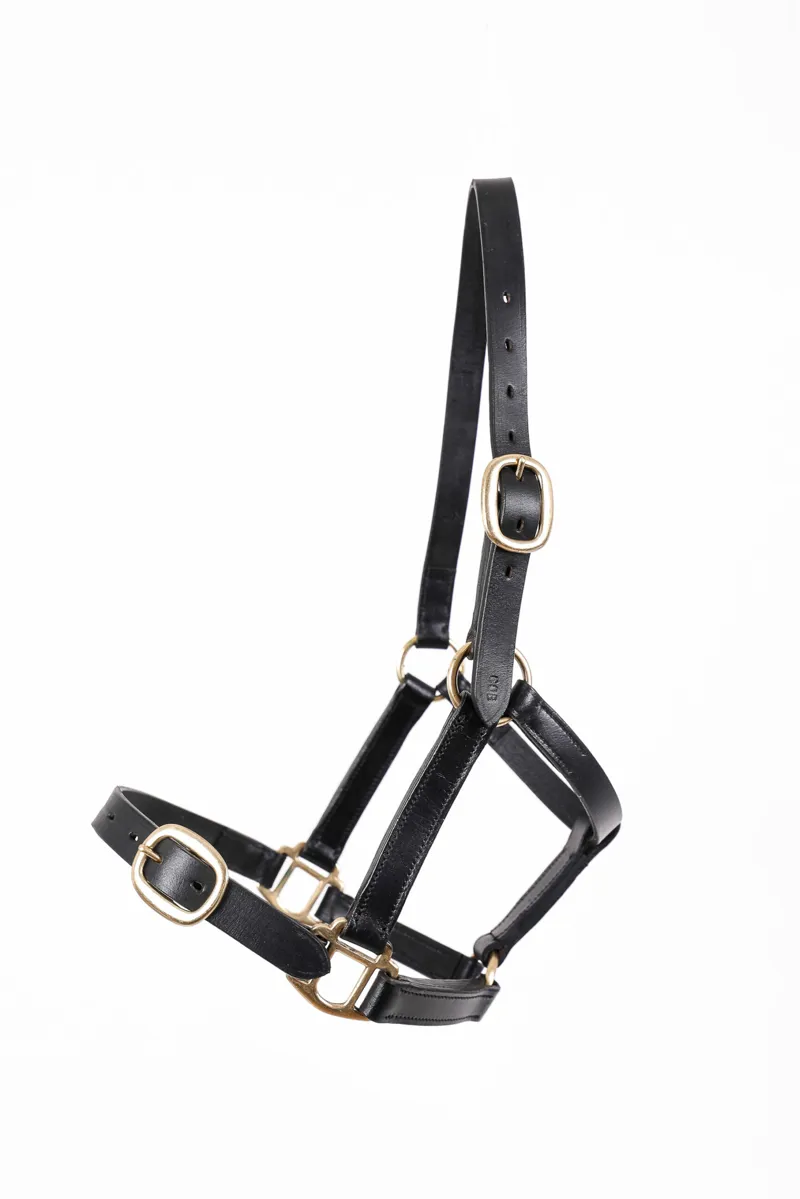 Breeze Up Latigo Leather Headcollar Black