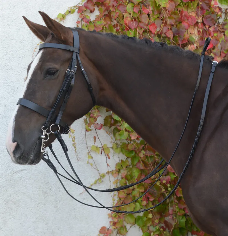 Mackey Classic Double Bridle Brown
