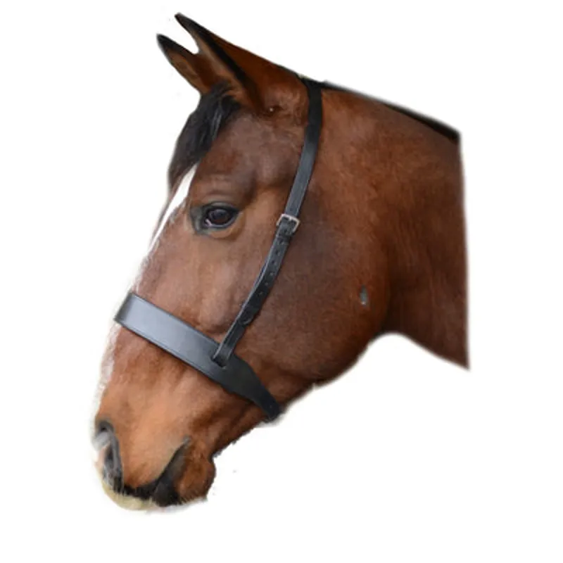 Mackey Classic Wide Flat Cavesson Noseband Black