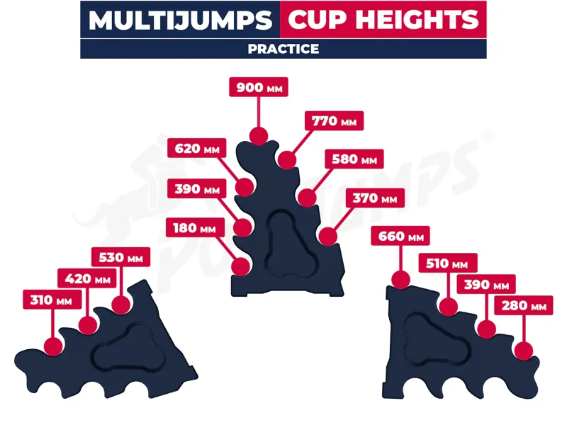 Polyjumps Sloping Block Pair-1