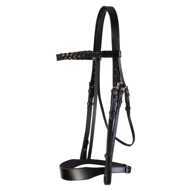 Show Bridle 2 Browbands Black-2