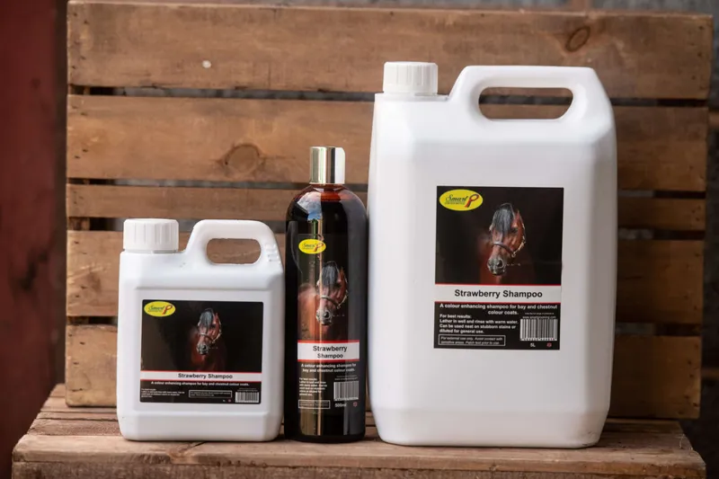 Smart Grooming Strawberry Shampoo 500ml-3