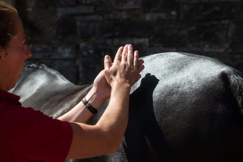 Smart Grooming Quarter Marking Gel 200g-1