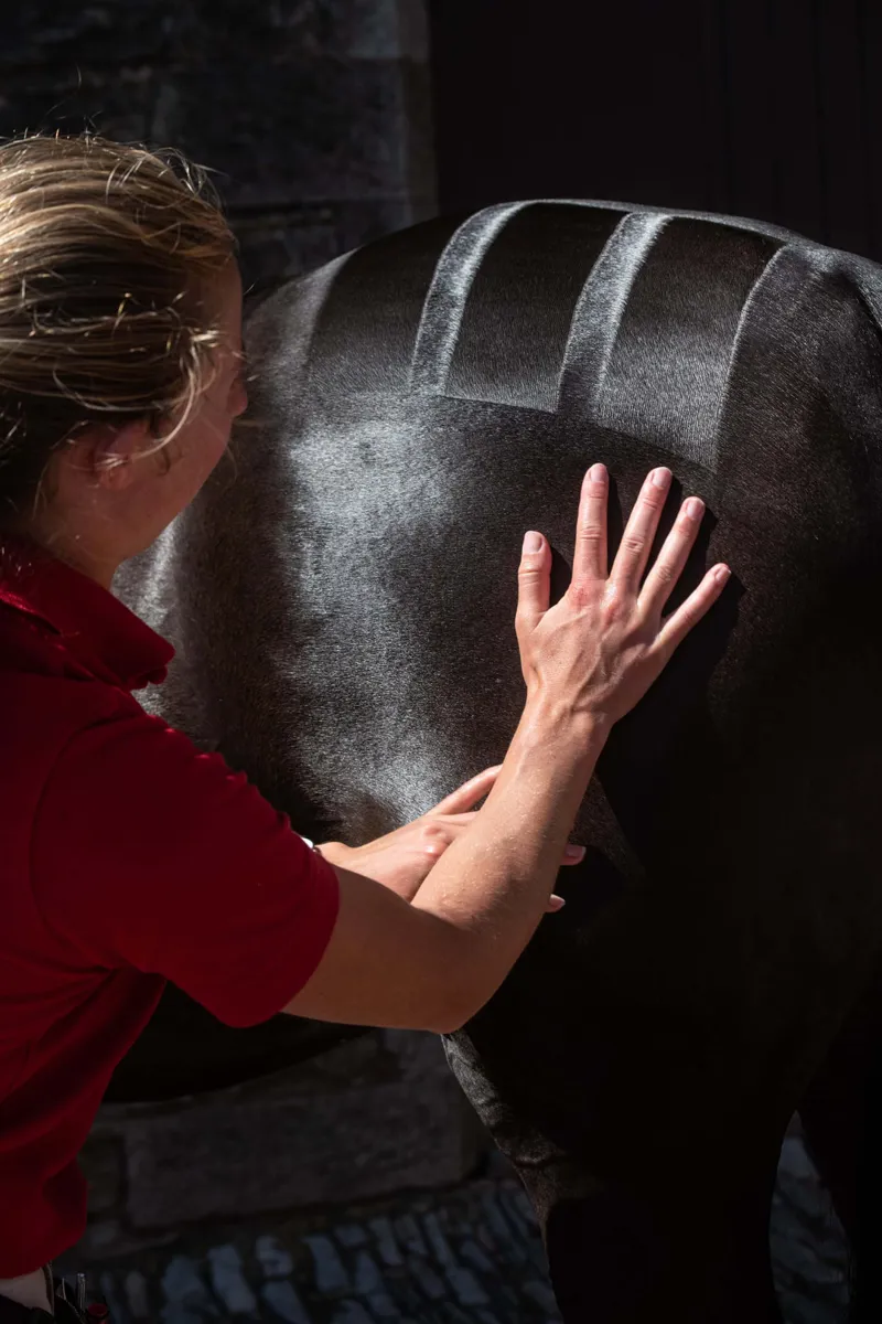 Smart Grooming Quarter Marking Gel 200g-2