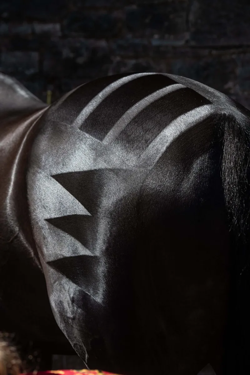 Smart Grooming Quarter Marking Gel 200g-4