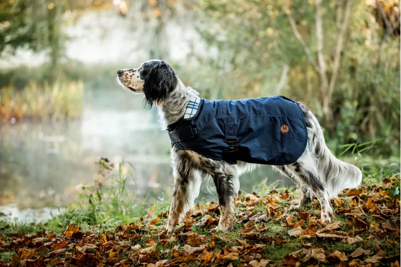 Horseware Newmarket Heritage Dog Coat