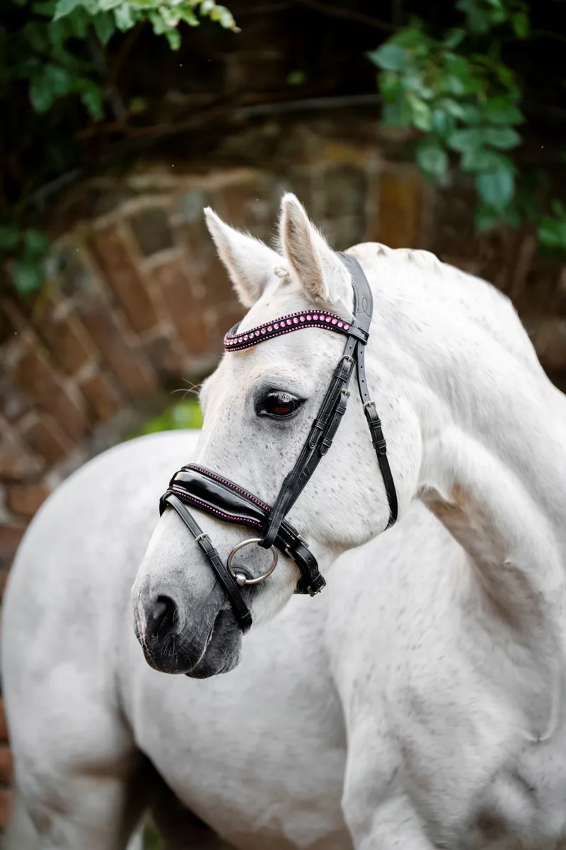Horseware Diamante Flash Bridle