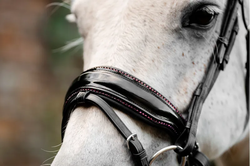 Horseware Diamante Flash Bridle-2