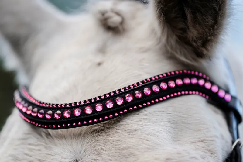 Horseware Diamante Flash Bridle-1