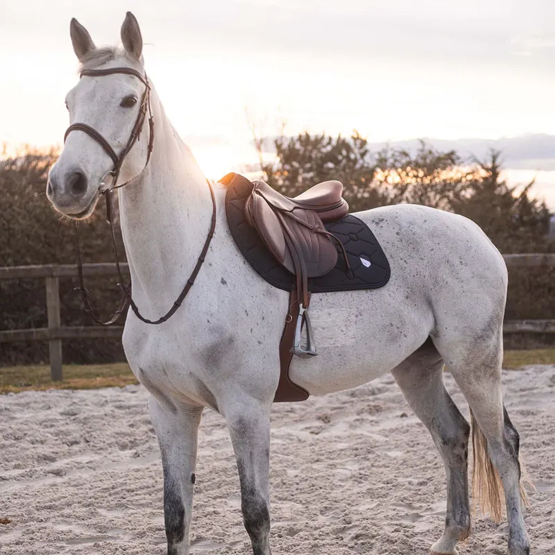 Samshield Spineshield Jump Embroidery Anthracite Full-2