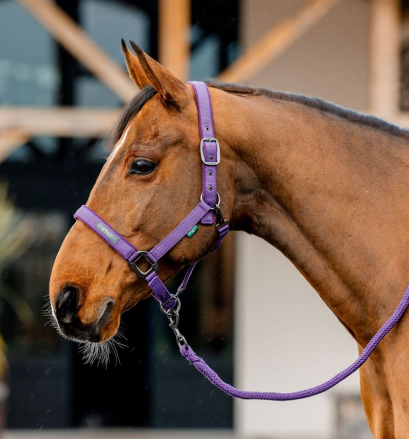 Horseware Amigo Headcollar and Leadrope Winterberry-1