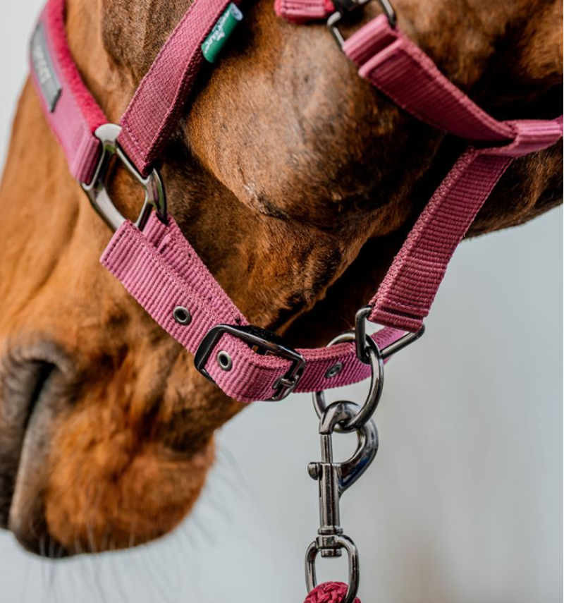 Horseware Amigo Headcollar and Leadrope Set-3