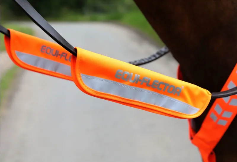 EQUI-FLECTOR Bridle Bands in ORANGE