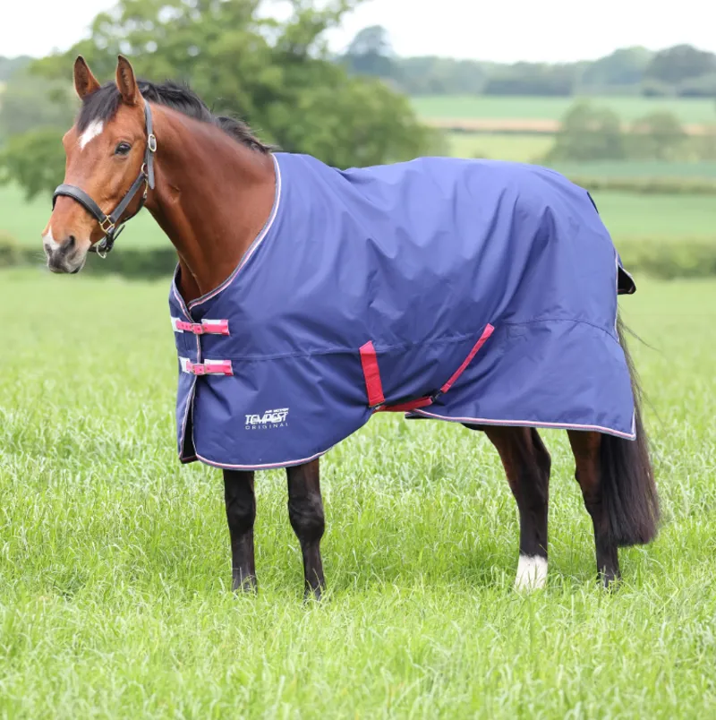 Tempest Original Air Motion Turnout  Rug in NAVY