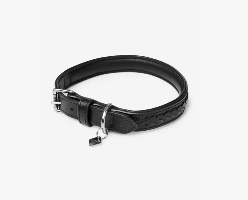 Oxford Collar Black