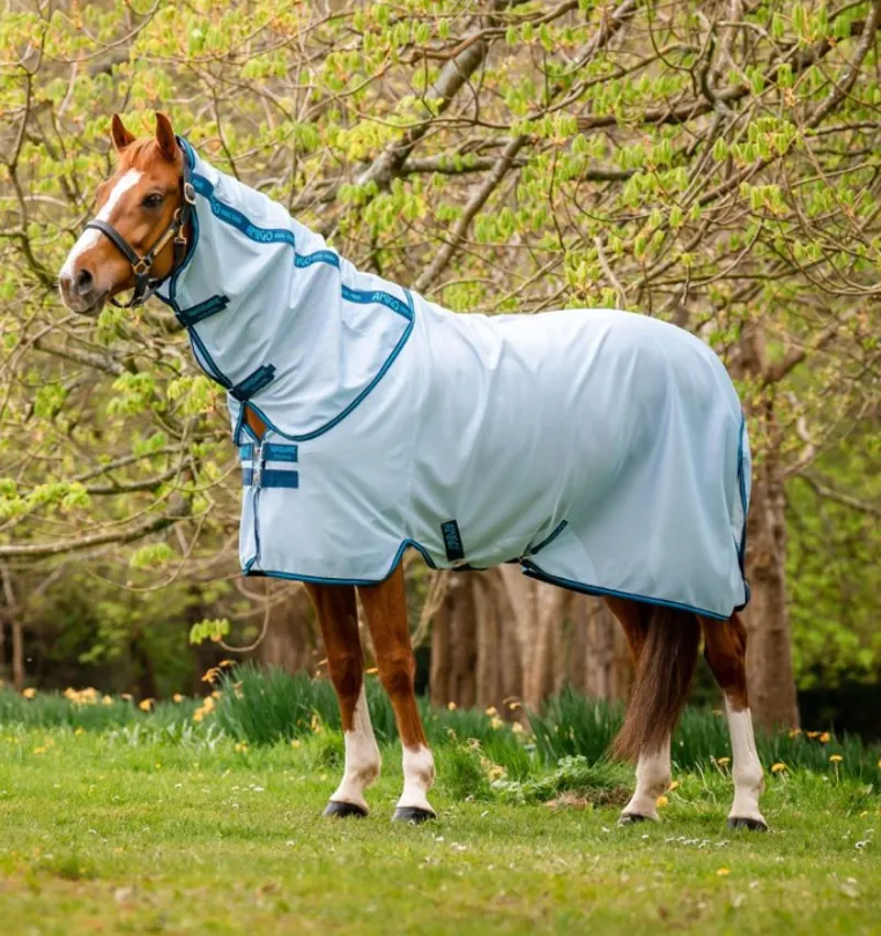 Amigo Bug Rug Plus Blue