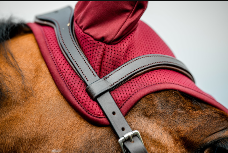 Amigo Earnet Mulberry-1