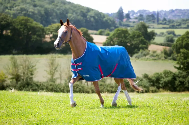 Tempest Original Lite Turnout Rug in TEAL