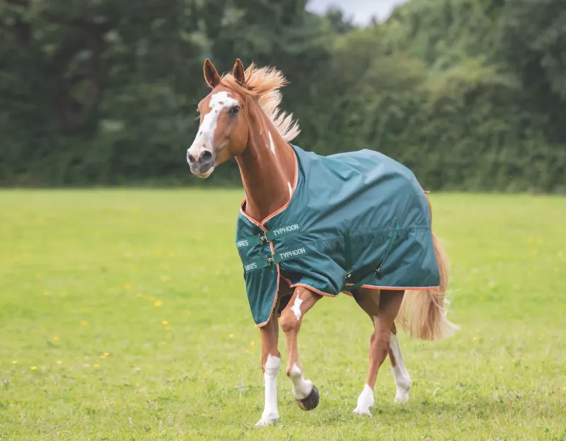 Typhoon Lite Turnout Rug in GREEN