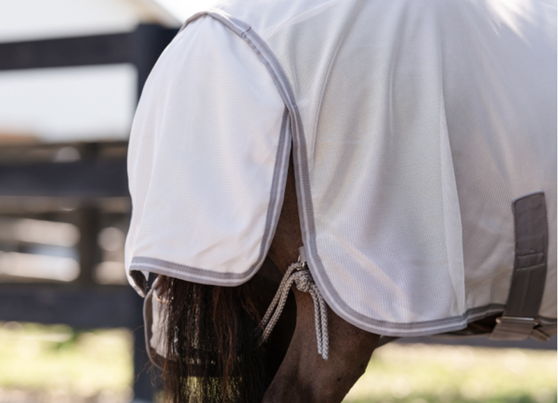 Horseware Amigo Bug Rug Plus Petite-2