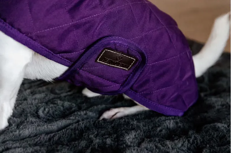 Dog Rug Original Royal Purple-3