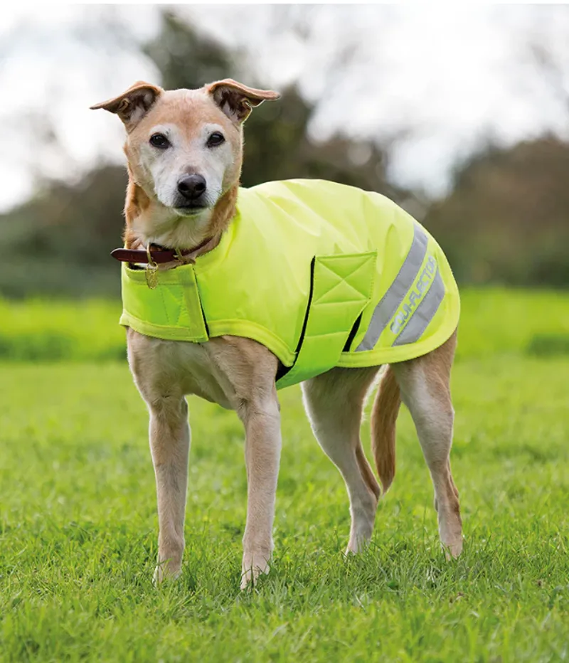 EQUI-FLECTOR Dog Coat in EQUYEL