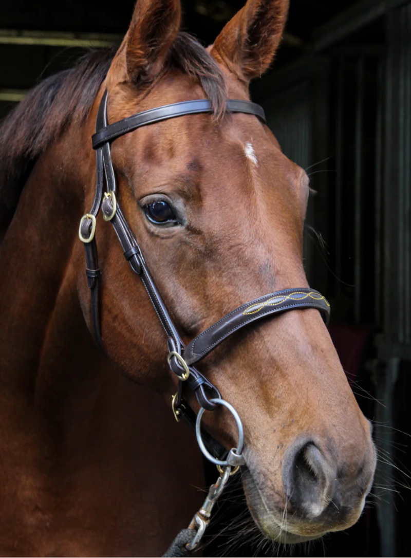 Classic Inhand Bridle Brown