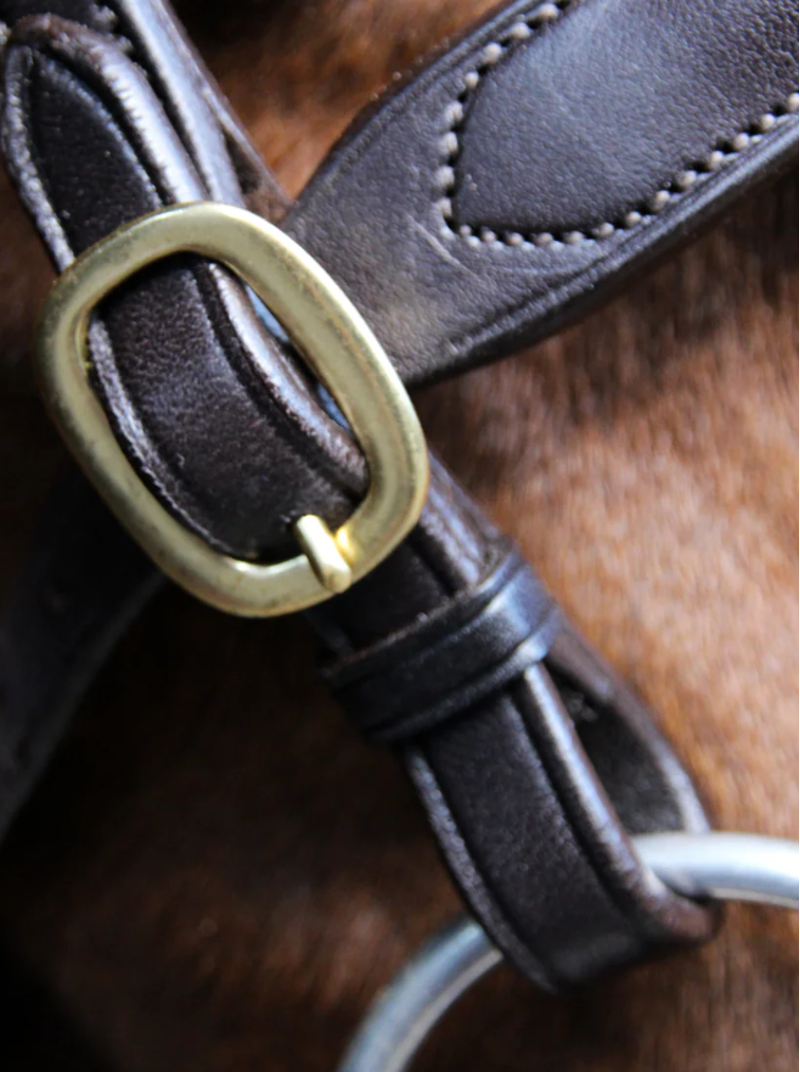 Classic Inhand Bridle Brown-1