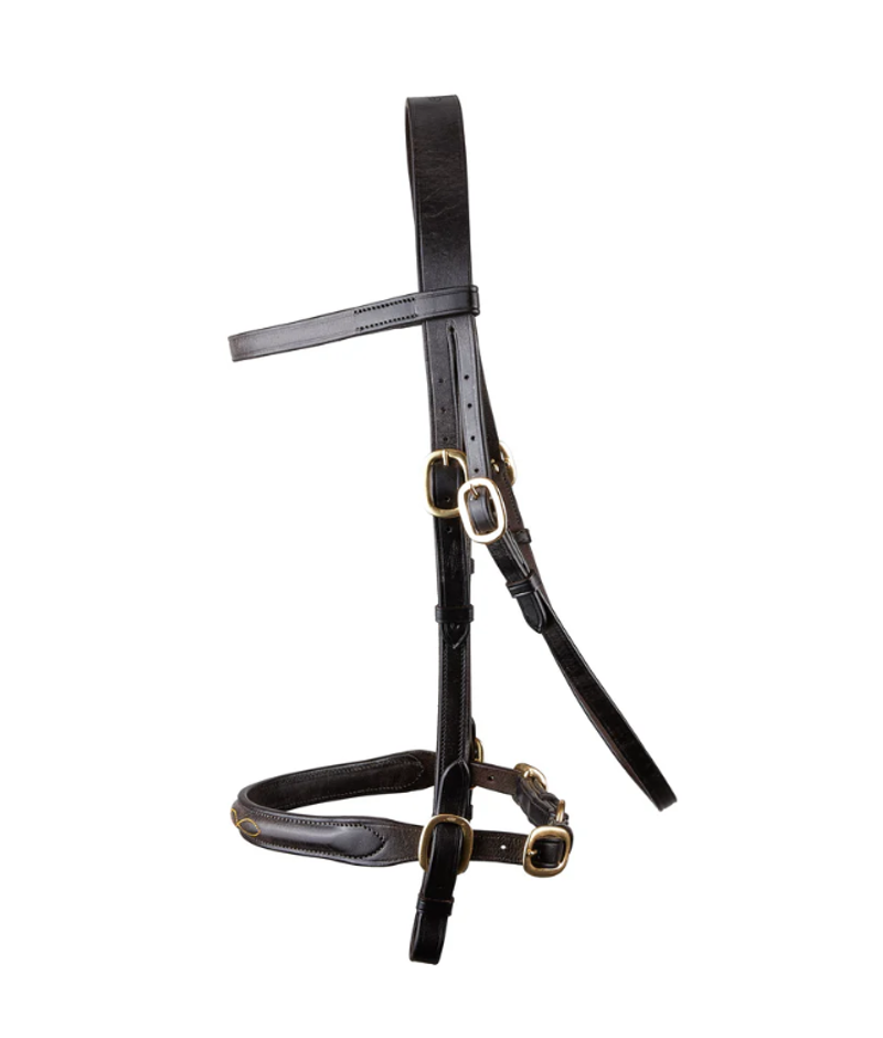Classic Inhand Bridle Brown-3