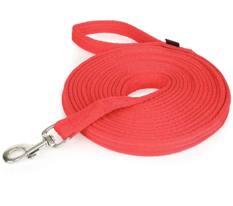 Lunge Lead Red