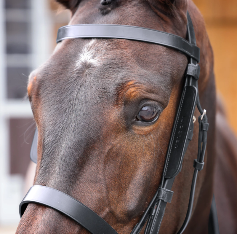 Leather Blinkers Black-2