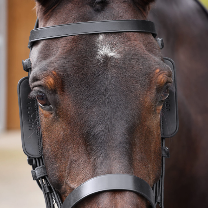 Leather Blinkers Black-3
