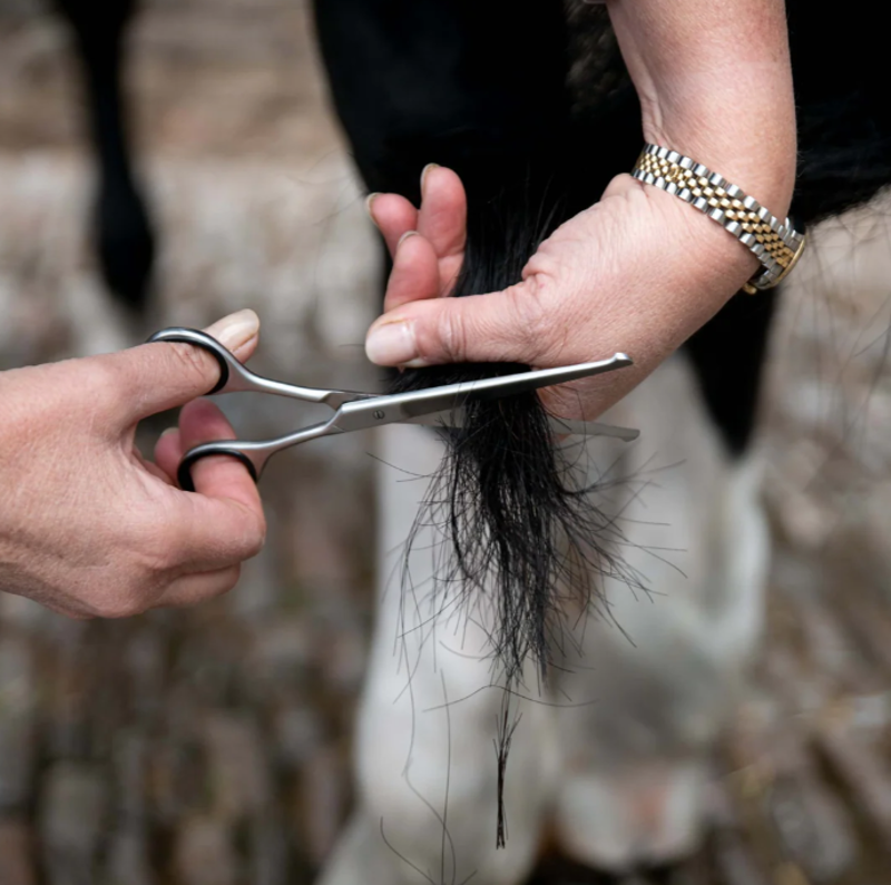 16.5cm Straight Safety Scissors-1