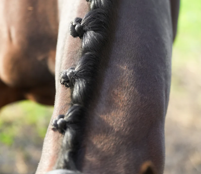 Glas Wooden Plaiting Comb-1