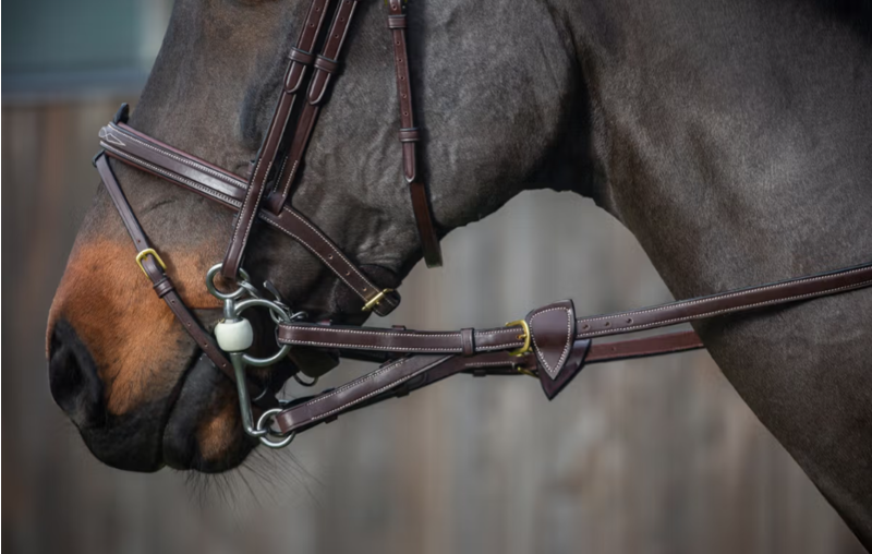 Dy'on 1/2 Converter Rubber Reins With 7 Leather Loops Brown