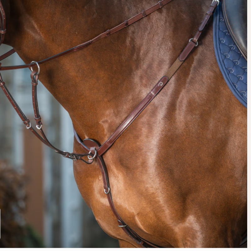 Dy'on Running Martingale Attachment Brown New English Collection