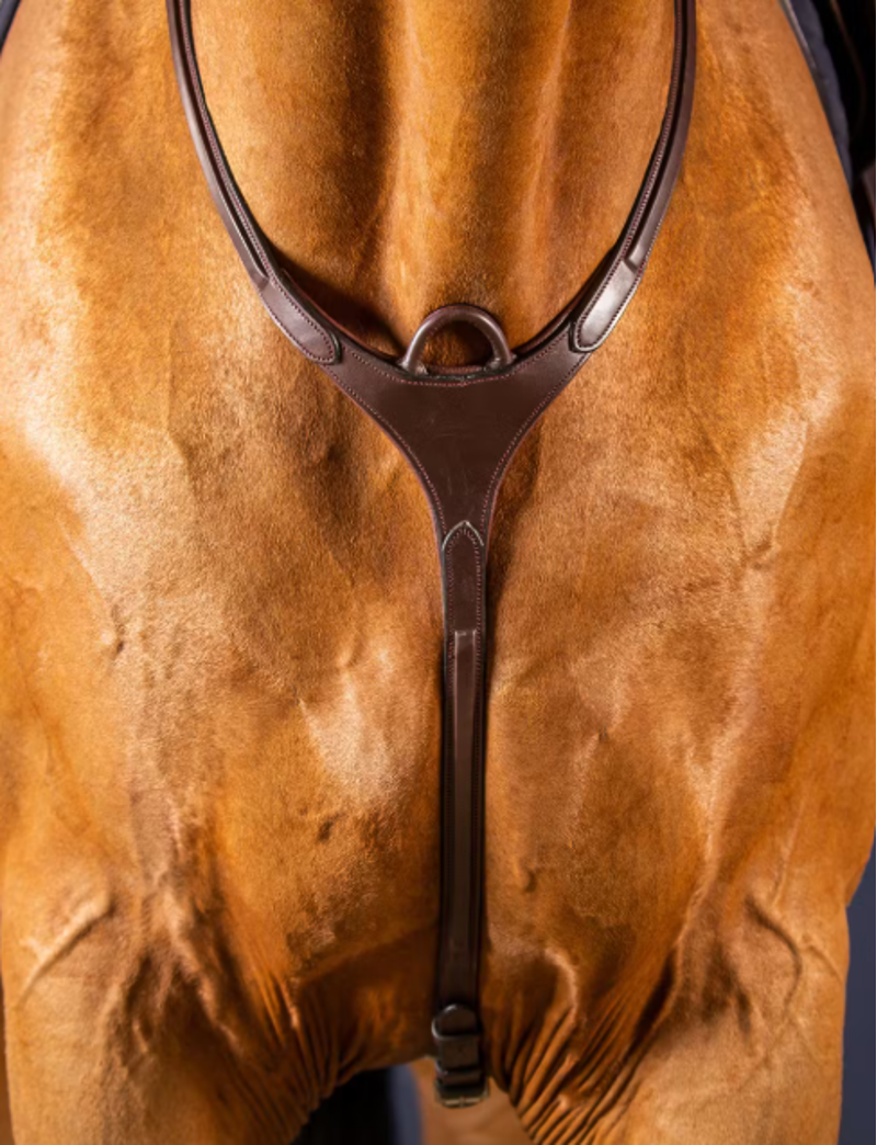 Dy'on Bridge Breastplate Brown New English Collection-1