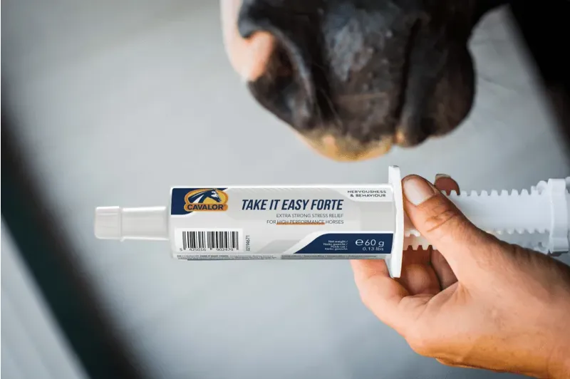 Cavalor Take It Easy Forte 60g Syringe