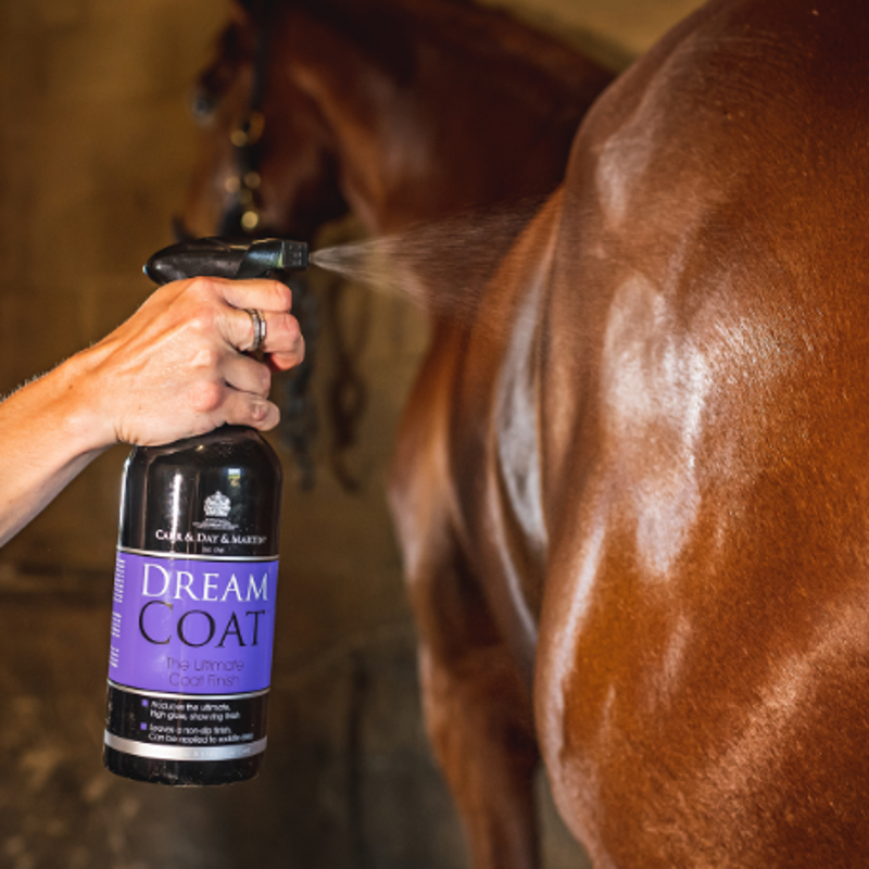 Carr Day Martin Dreamcoat-1