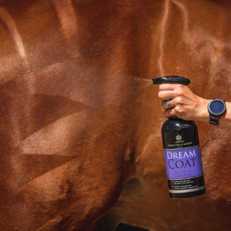 Carr Day Martin Dreamcoat-2