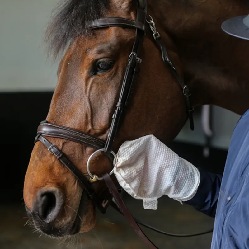 Carr Day Martin Belvoir Tack Cleaner Mitt-1