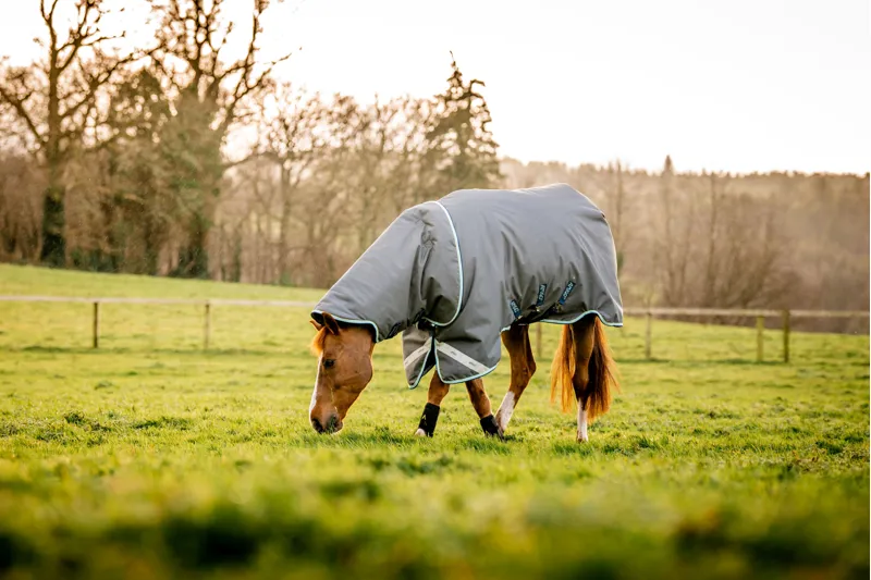 Amigo Bravo 12 Plus Turnout Heavy Shadow 