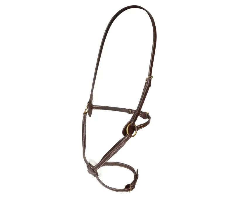 Salisbury Brackley Noseband in AUSNUT