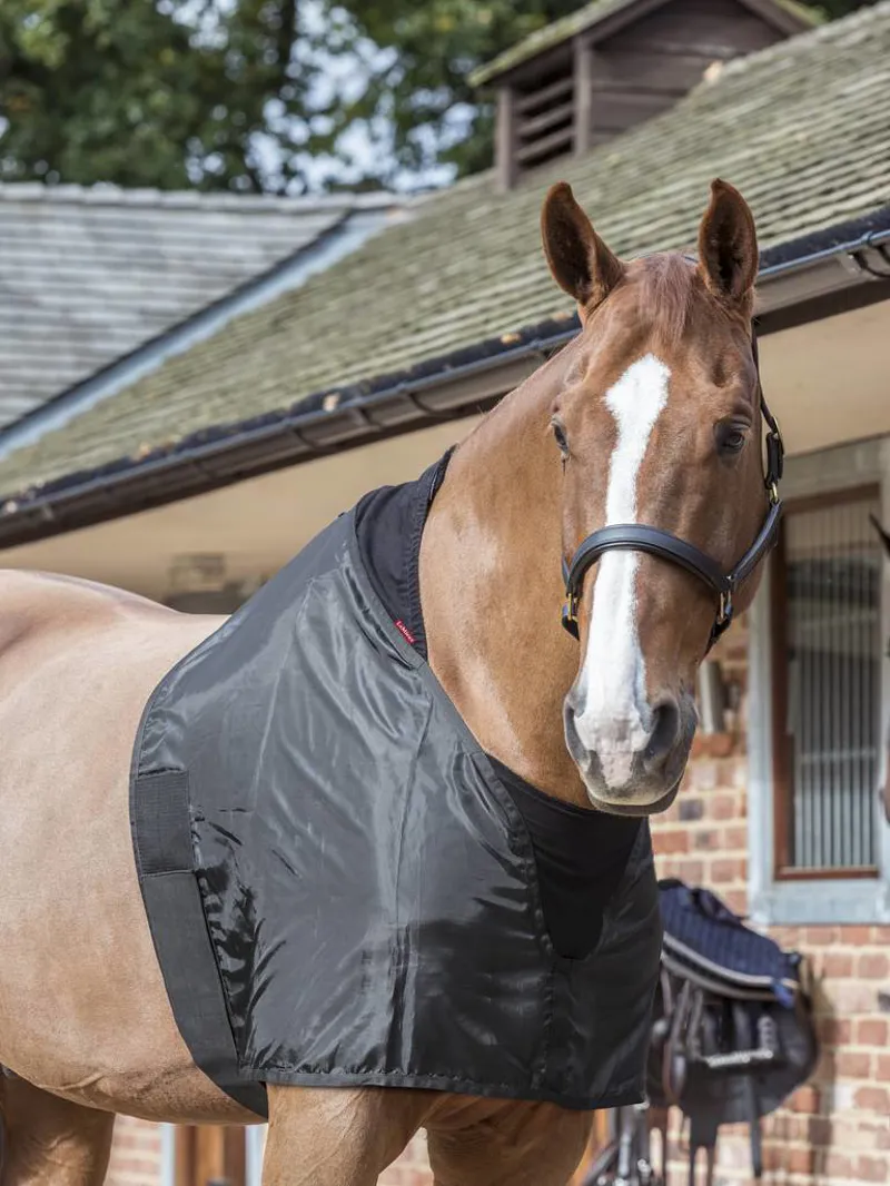 LeMieux Anti Rub Bib Black-2