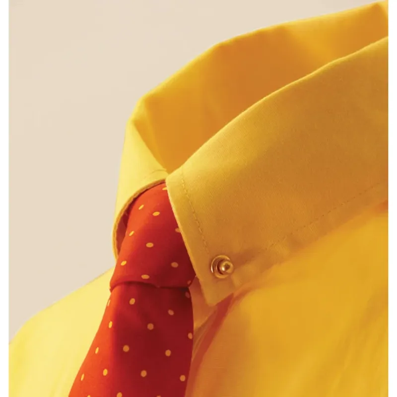 Equetech Showing Collar Pin and Chain Gold-1