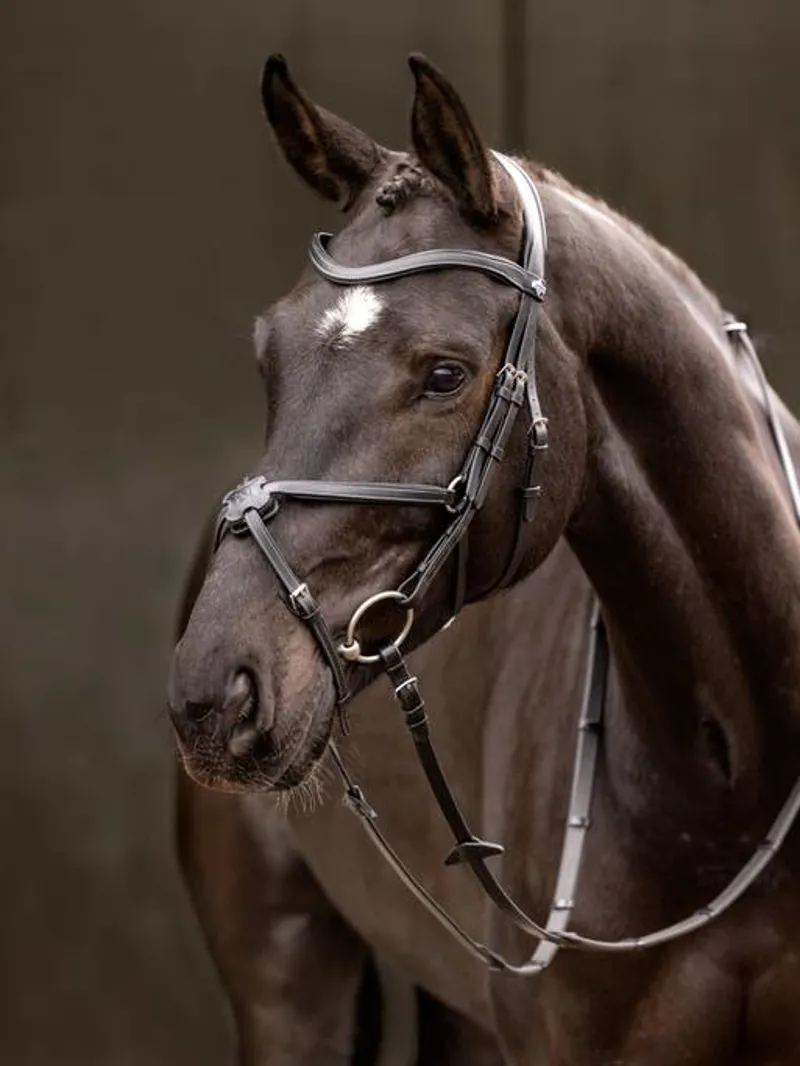 LeMieux Arika Grackle Bridle Black/Silver