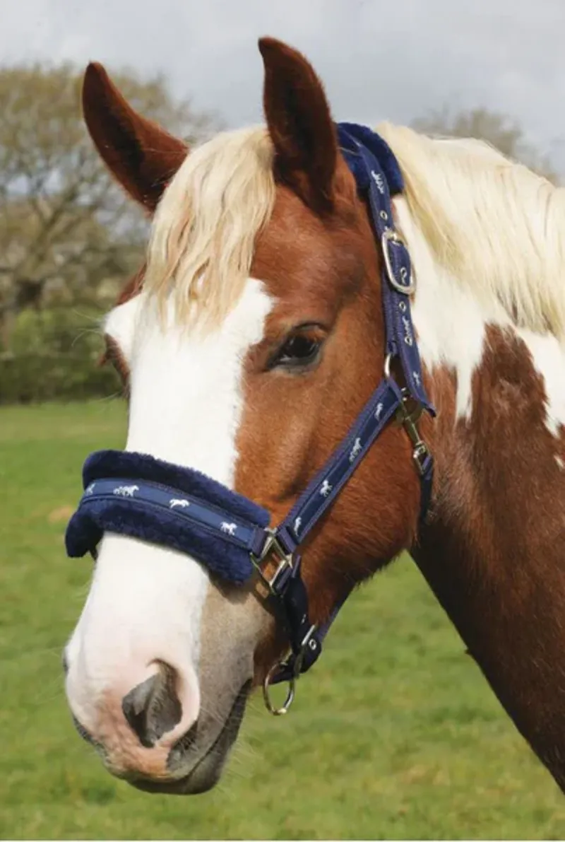 Shires Adjustable Nylon Fleece Headcollar Navy