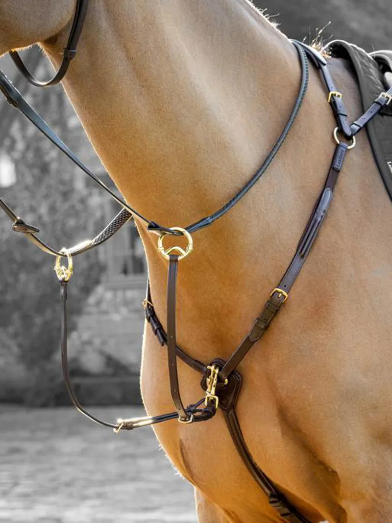 LeMieux Breastplate with Detachable Martingale Havana-3