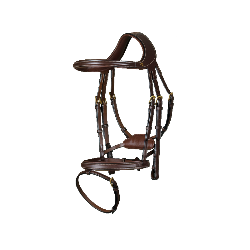 Dy'On Difference Therapeutic Bridle-1