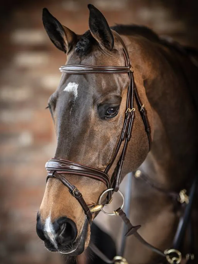 LeMieux Kudos Competition Flash Bridle Havana